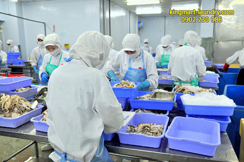 Đồng phục của công nhân là nơi ảnh hưởng trực tiếp đến chất lượng thực phẩm